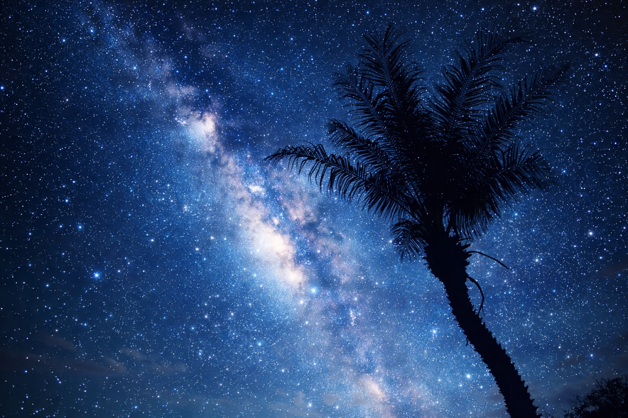 石垣島体験ツアーStarOceanの写真5