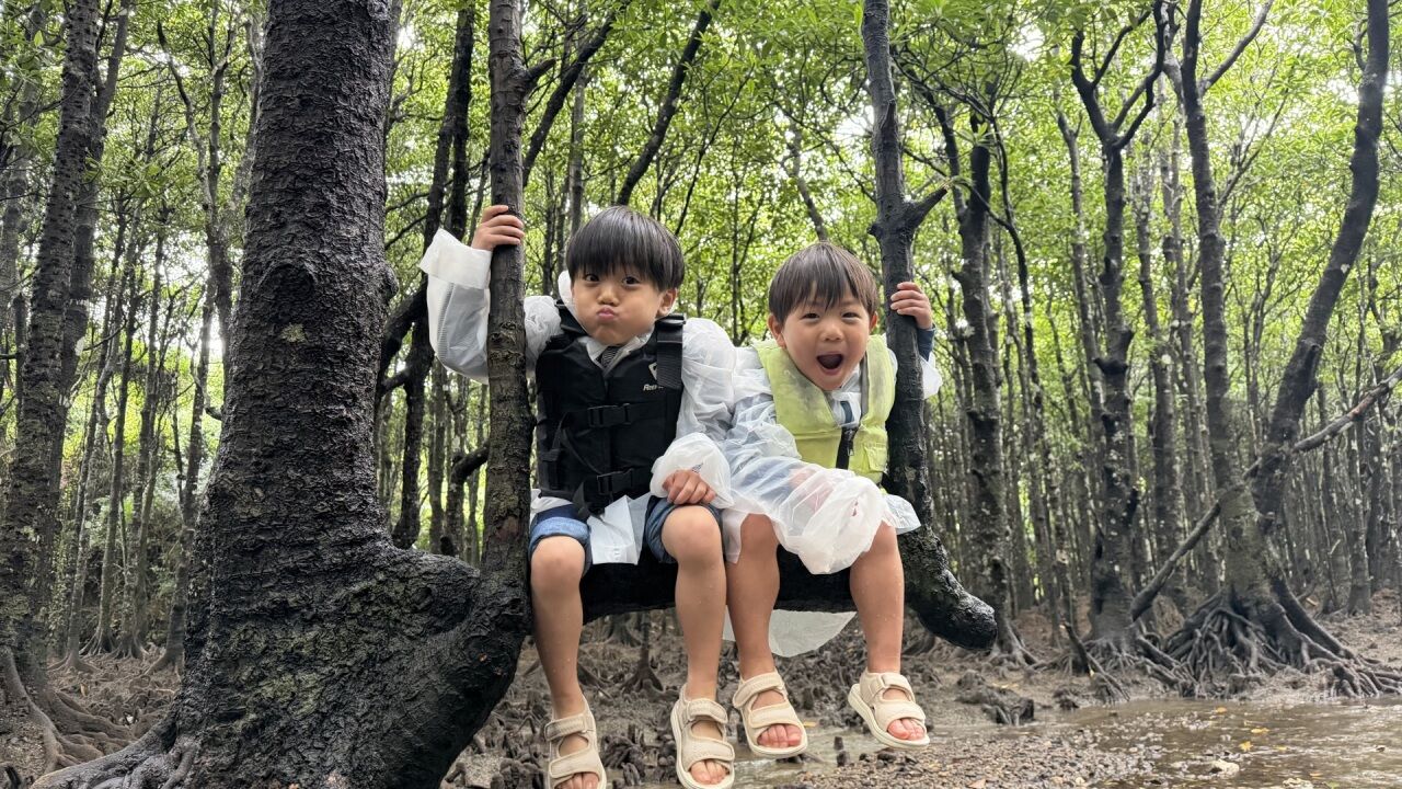 吹通川のマングローブをカヤックで進むツアーの様子（写真3）