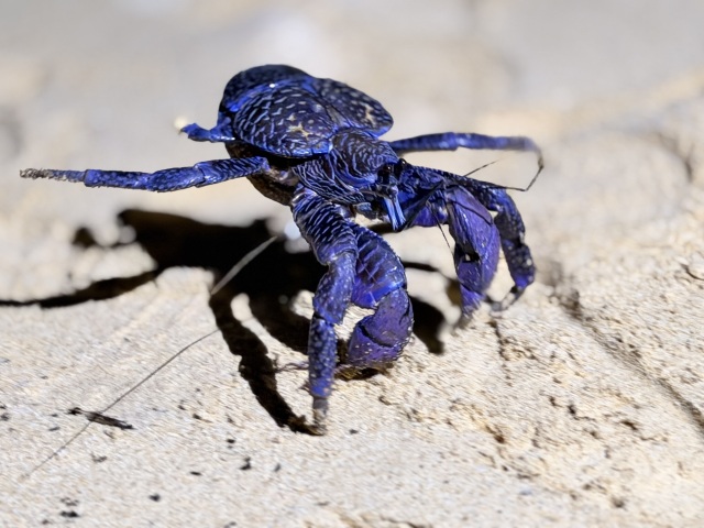 ���Ǵ����� �䥷����