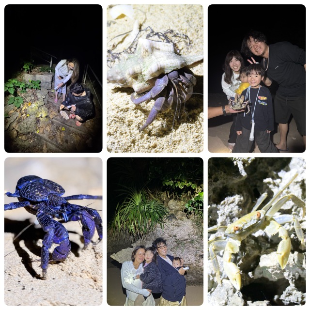 �г��������ʪ������