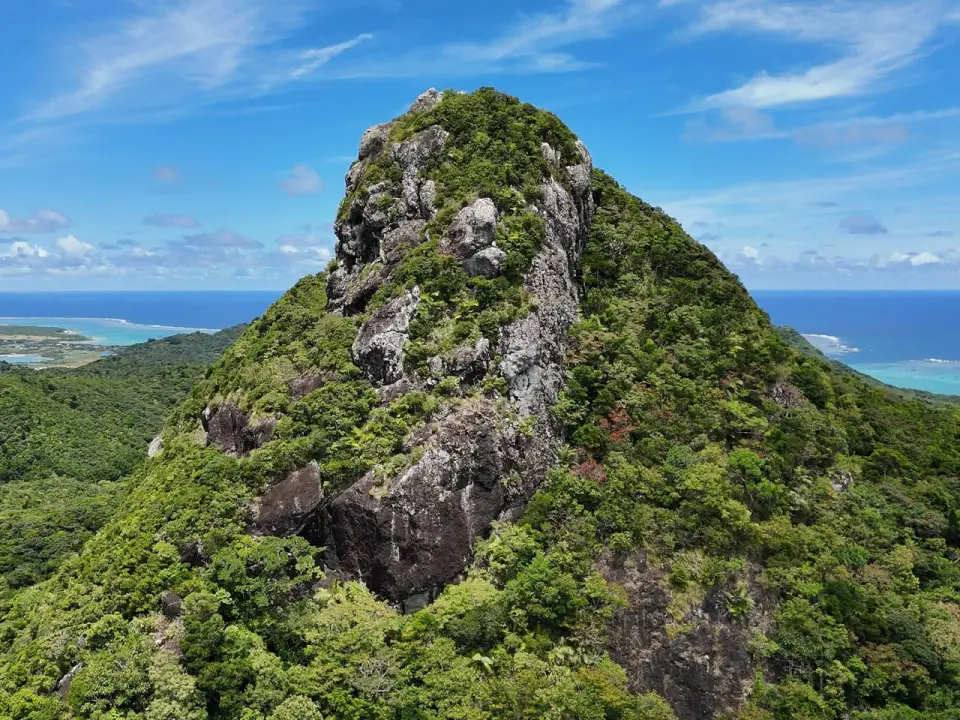 野底マーペの山頂付近の風景
