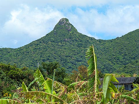 敷地横からの野底岳の風景